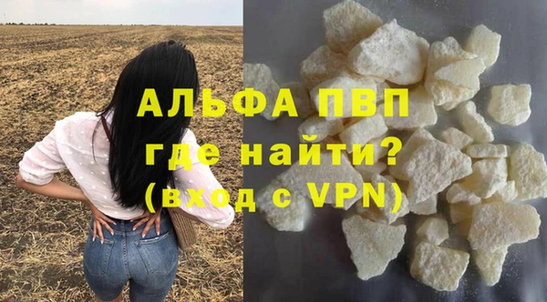 крисы Баксан