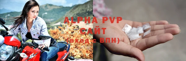 крисы Баксан