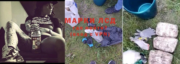 крисы Баксан