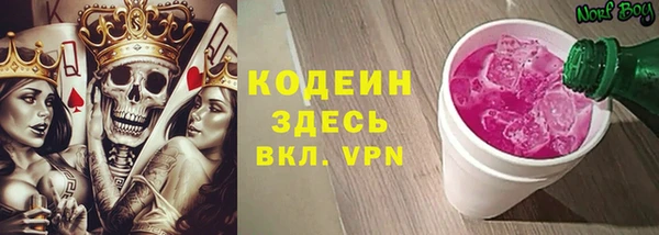 крисы Баксан