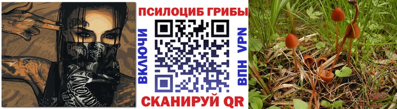 закладки  Красный Кут  Галлюциногенные грибы GOLDEN TEACHER 